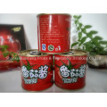 198g 18%-20% Canned Tomato Paste